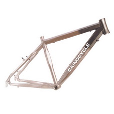 BICYCLE FRAME-FF018