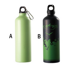 Alloy water  bottle-AW050(A-B)